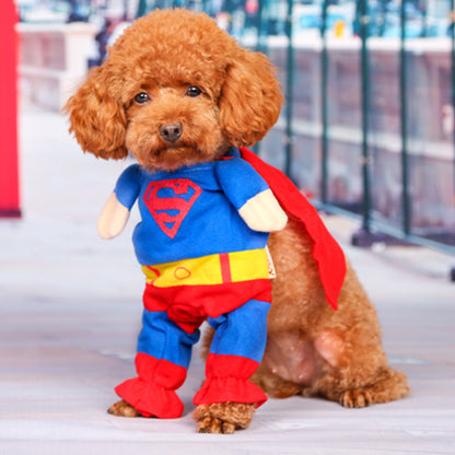 Disfraz de Superhéroe Mascotas | Luboca