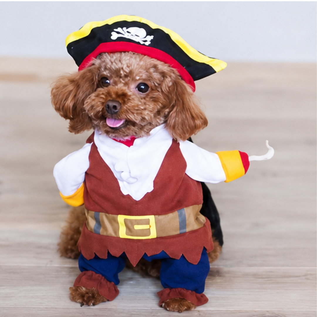 Disfraz de Pirata para Mascotas