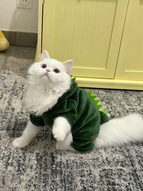 Disfraz de Dinosaurio para Mascotas