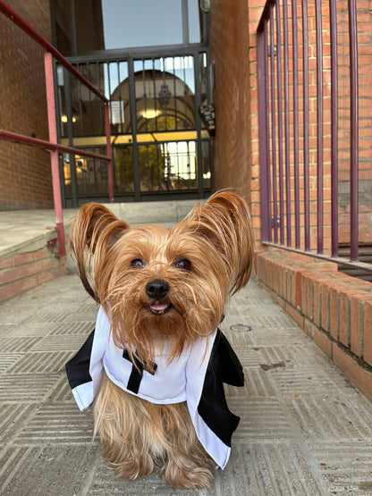 Disfraz de Monja para Mascotas