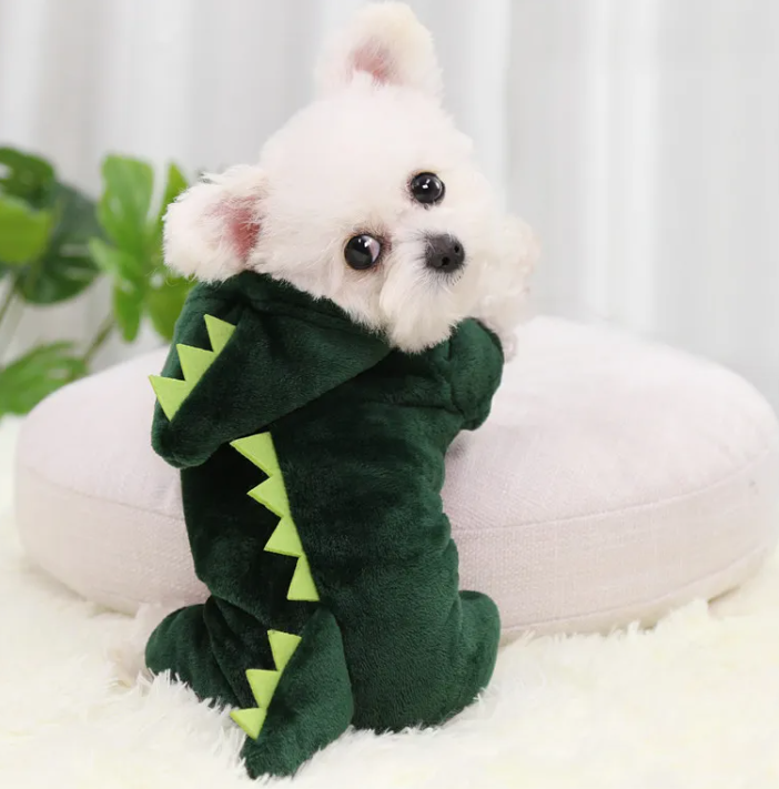 Disfraz de Dinosaurio Mascotas | Luboca