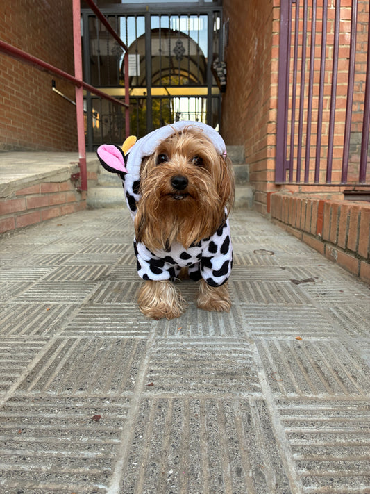 Disfraz de Vaquita para Mascotas