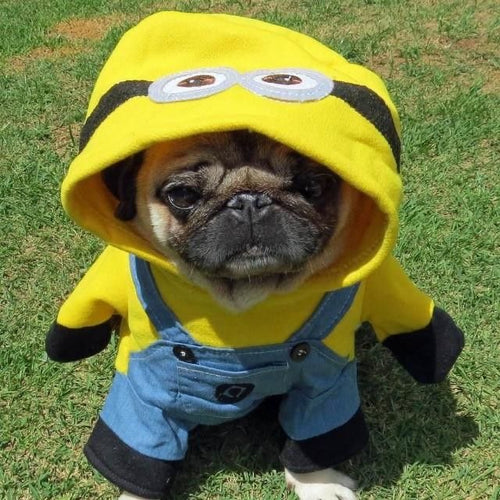 Disfraz de Minion para Mascotas
