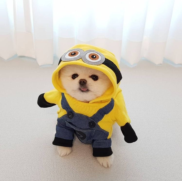 Disfraz de Minion para Mascotas