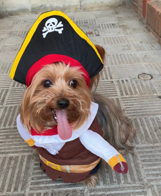 Disfraz de Pirata para Mascotas