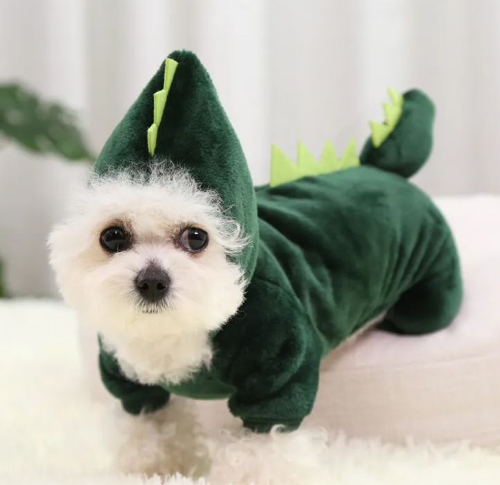 Disfraz de Dinosaurio Mascotas | Luboca