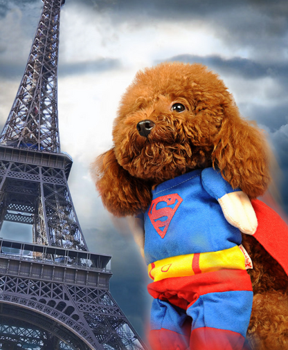 Disfraz de Superhéroe Mascotas | Luboca